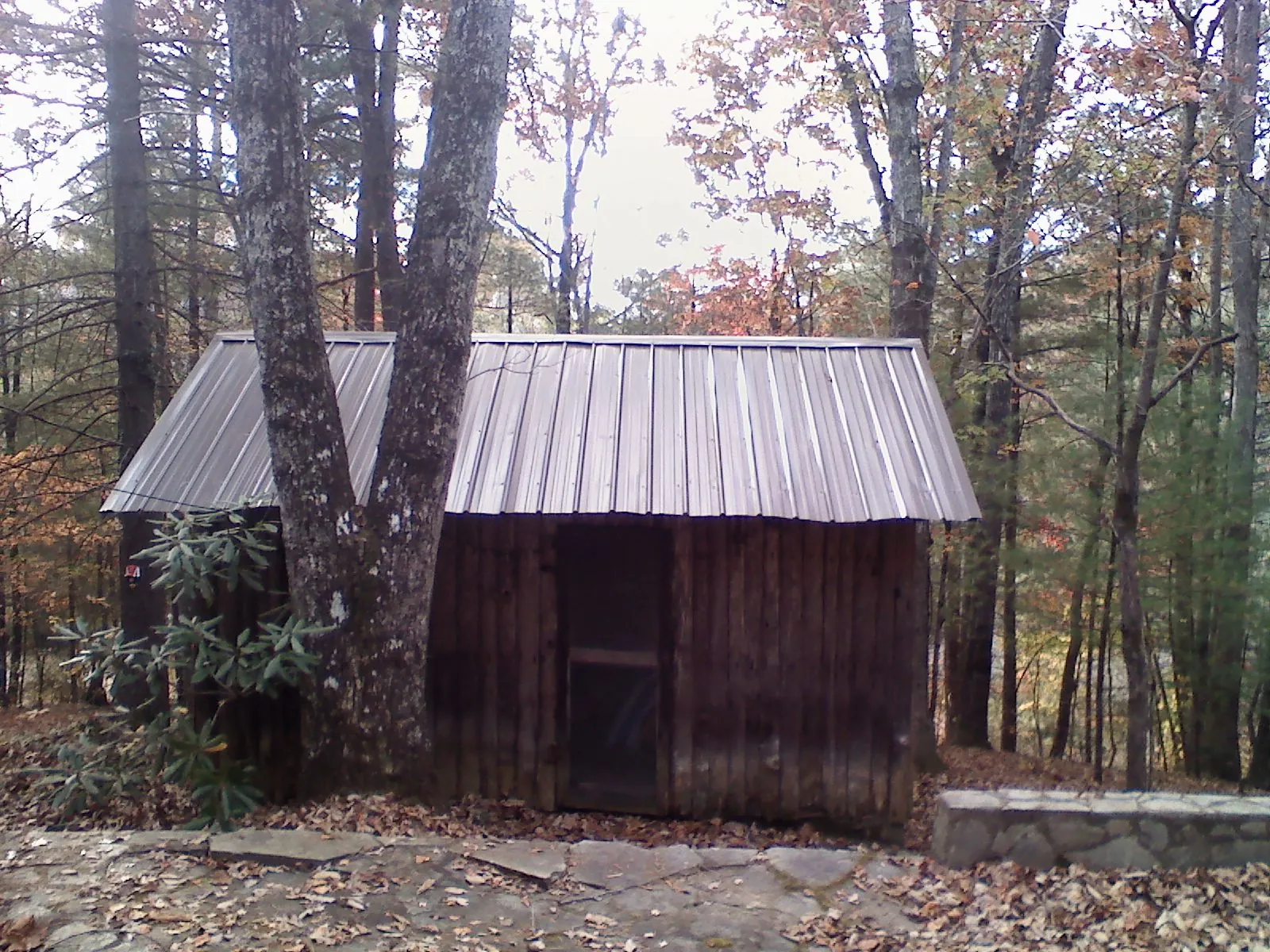 New metal gable roof on a small log shed among the trees in Ripley
